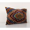 Velvet Cushions, Silk Lumbar Pillows, Blue Velvet Ikat | Pillows by Vintage Pillows Store