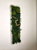 Plant Wall Art Moss and Fern Sculpture, Dimensional Painting | Living Wall in Plants & Landscape by Sarah Montgomery