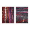 Seeing Red #12: Colorful Bike Tracks Abstract | Photography by Susan Bowen Photos