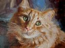 Red Cat pet portrait painting original, Custom cat painting | Oil And Acrylic Painting in Paintings by Natart. Item composed of canvas and synthetic in contemporary style