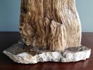 Driftwood Sculpture "Shark Pinna" with Marble Base | Sculptures by Sculptured By Nature  By John Walker. Item made of wood compatible with minimalism style