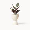 White Stacked Planters | Vases & Vessels by Franca NYC. Item composed of ceramic in boho or minimalism style