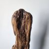 Driftwood Art Sculpture "The Lepidote" | Sculptures by Sculptured By Nature  By John Walker. Item composed of wood in minimalism style