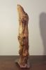 Driftwood Sculpture "Formidable" with Marble Base | Sculptures by Sculptured By Nature  By John Walker. Item composed of wood in minimalism style