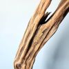 Driftwood Art Sculpture "Slender Flame" | Sculptures by Sculptured By Nature  By John Walker. Item made of wood works with minimalism style