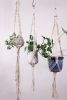 Sample Plant Hangers | Plants & Landscape by Modern Macramé by Emily Katz. Item composed of cotton and brass