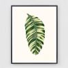 Botanical Print Set, Set of 4 botanical prints, Antique | Prints by Capricorn Press. Item composed of paper in boho or country & farmhouse style