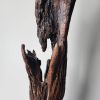 Driftwood Art Sculpture "Charred Barb" | Sculptures by Sculptured By Nature  By John Walker. Item made of wood compatible with minimalism style