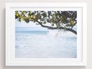 Under Branches | Photography by She Hit Pause. Item made of paper