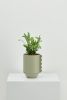 Frill Feature Planter | Vases & Vessels by Capra Designs