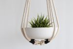 Macrame Plant Hanger, Textile Hanger Sculpture, Handmade: The "CHUNKY" Series | Plants & Landscape by Freefille