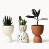 Blush Stacked Planters | Vases & Vessels by Franca NYC. Item made of ceramic compatible with boho and minimalism style