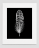EXPOSED AUTUMN — FEATHER | Decorative Objects by Exposedart