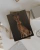 The Hare - Brown Edition | Prints by The Ugly Cat Studio