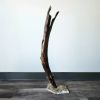 Driftwood Art Sculpture "Battle Tested Bow" | Sculptures by Sculptured By Nature  By John Walker. Item made of wood compatible with minimalism style