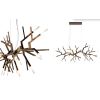 Alan Mizrahi WM2088 Acropora | Chandeliers by Alan Mizrahi Lighting Design