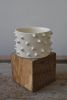 Spikes Handmade Plant Pot | Planter in Vases & Vessels by OWO Ceramics. Item made of ceramic