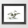 Cygnet | Prints by Brazen Edwards Artist. Item made of canvas with paper