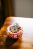 Glass Blown Jester Bubble Bowl | Decorative Bowl in Decorative Objects by Maria Ida Designs