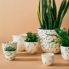 Speckled Planter | Vases & Vessels by Franca NYC. Item composed of ceramic compatible with boho and minimalism style