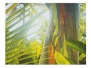 Wooden Rainbow | Photography by She Hit Pause. Item composed of paper