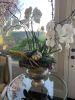 Grand orchid and succulent arrangements | Floral Arrangements by Fleurina Designs