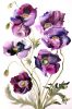 Poppies No. 8 : Original Watercolor Painting on Canvas | Paintings by Elizabeth Becker. Item made of canvas compatible with minimalism and contemporary style
