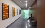 Sculpture Installation | Wall Sculpture in Wall Hangings by MORAN BROWN | CPMC Van Ness Campus in San Francisco. Item made of aluminum