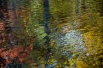 Water Reflections | Prints by Connie Villa. Item composed of paper