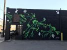 Staghorn Ferns | Murals by Mari Pohlman | Fiction Coffee in Dallas