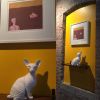 Hand Sculpted porcelain Sphinx kitten | Ornament in Decorative Objects by Bethany Krull. Item made of ceramic