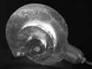 "Life Spiral" | Table Lamp in Lamps by F+M FOS - Anna Maria Fragiskos Bitros. Item composed of glass