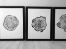 Triptych Alaska, Yellowstone, and the Grand Tetons | Prints by Erik Linton. Item made of paper