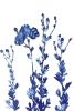 Delft Tree Poppies III (18 x 12" Cyanotype Painting) | Mixed Media in Paintings by Christine So. Item made of paper works with boho & country & farmhouse style