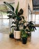 The Fourteen w/ Stand Planter | Vases & Vessels by LBE Design | SoPo Roasting and Brewing Co. in Albuquerque. Item composed of ceramic