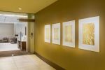 Art Curation | Art Curation by NINE dot ARTS | JW Marriott Minneapolis Mall of America in Minneapolis