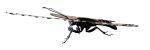 35" Monarch Butterfly | Sculptures by Steve Nielsen Art. Item composed of steel