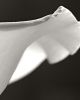 Shadow dance | Photography by Dario Moschetta. Item made of wood & canvas compatible with contemporary and modern style