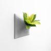 Node XL Wall Planter, 15" Mid Century Modern Planter, Gray | Plant Hanger in Plants & Landscape by Pandemic Design Studio. Item composed of stoneware in mid century modern or japandi style