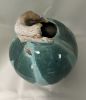 Cat on Green vessel | Sculptures by Sheila Blunt. Item composed of ceramic in contemporary style