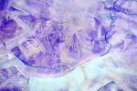 Patchwork Soul | 62x41 | Extra Large Abstract | Oil And Acrylic Painting in Paintings by Jacob von Sternberg Large Abstracts. Item composed of canvas and synthetic
