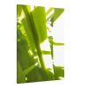 Sunkissed_3600  --  the life-giving energy of nature | Prints in Paintings by Petra Trimmel. Item made of canvas & paper
