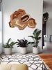 Wall Art - To follow a cloud | Wall Sculpture in Wall Hangings by Alexandra Cicorschi. Item composed of maple wood