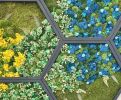 Rainbow Hexagon Moss Art XL 24" Frames | Wall Hangings by Mosstique. Item composed of wood in boho or eclectic & maximalism style