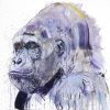 Silverback VII | Prints by Dave White. Item made of paper