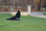 Sounding | Public Sculptures by Jim Sardonis. Item composed of bronze