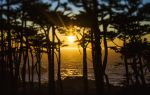 Land's End | Photography by Robert Bengtson / The Art of Detail Gallery. Item composed of metal