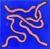 Wormeanism: Pink Conduit (Textured Square Acrylic Painting) | Oil And Acrylic Painting in Paintings by Stayfin. Item made of canvas works with minimalism & contemporary style