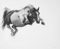 The Great Beyond | Drawings by Patsy McArthur. Item made of paper
