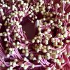 Untitled Plant 01 | Sculptures by Renee's Ceramics